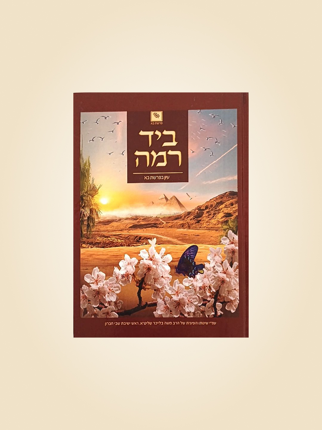 ביד רמה - עיון בפרשת בא
